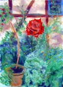 Rote Rose
Pastell
59x42 cm